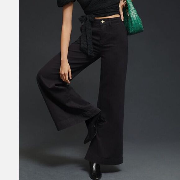 Anthropologie Pilcro Black Pleated Wide-Leg Classic High Rise Trousers Size 30 - Picture 1 of 14